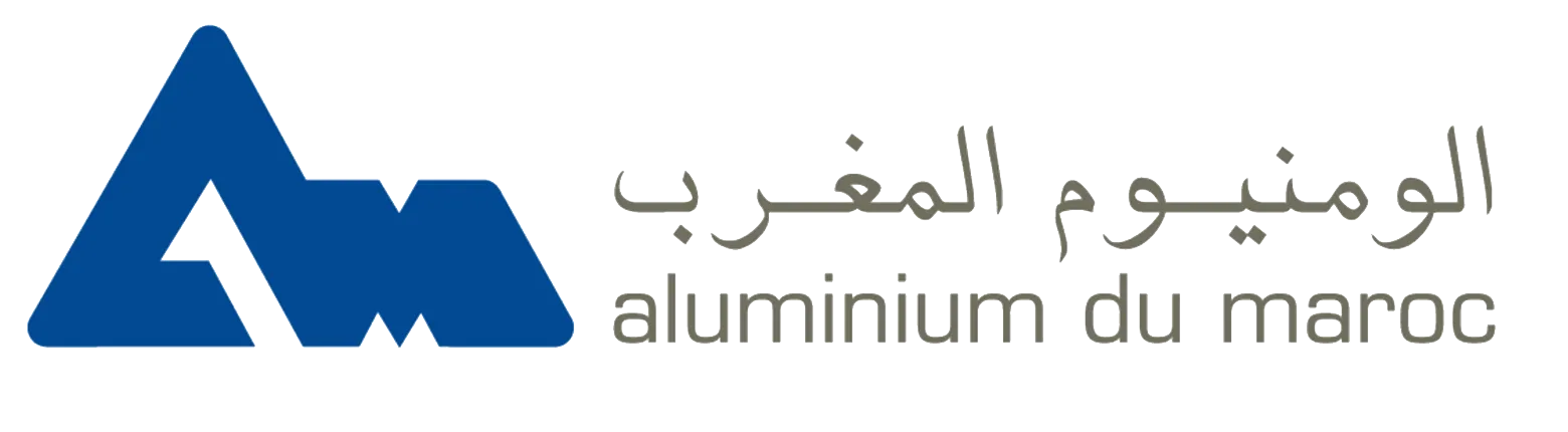Aluminium du Maroc — Metallurgy